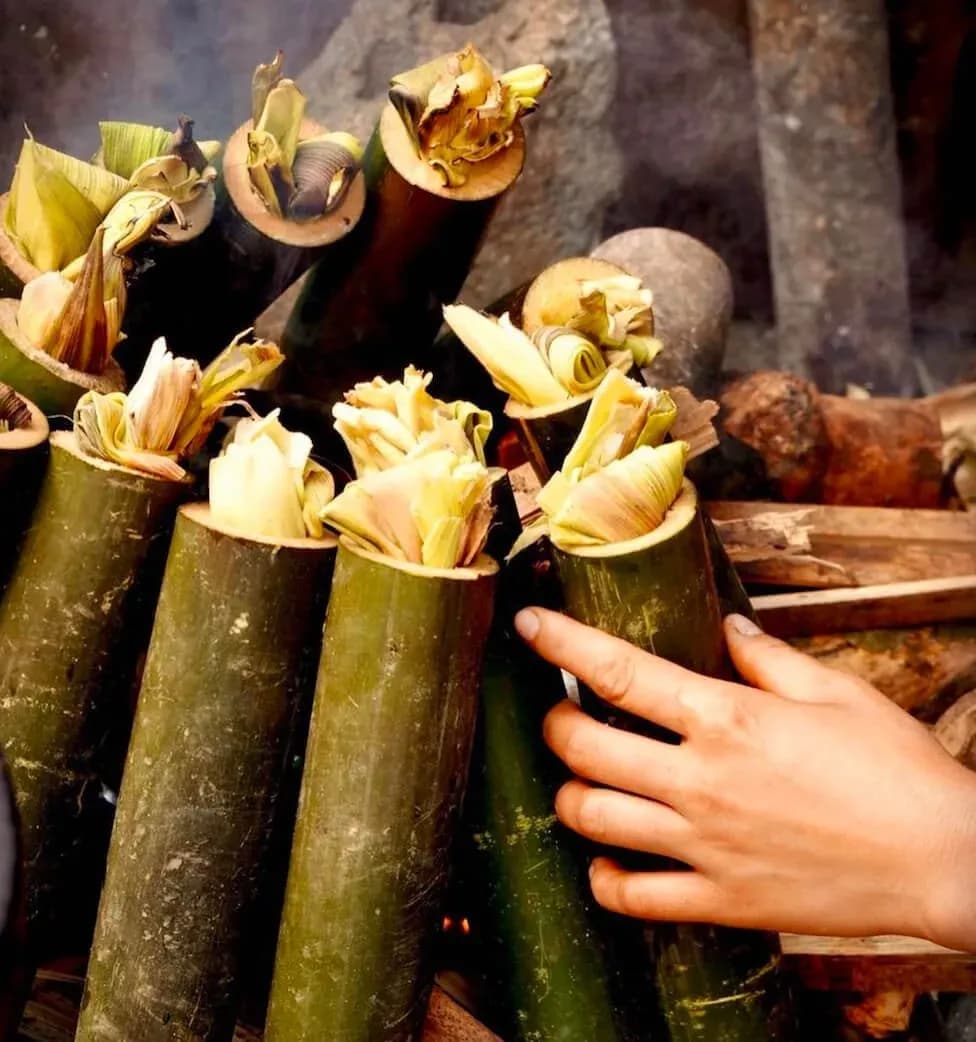 Bamboo Rice – 북서부의 독특한 맛