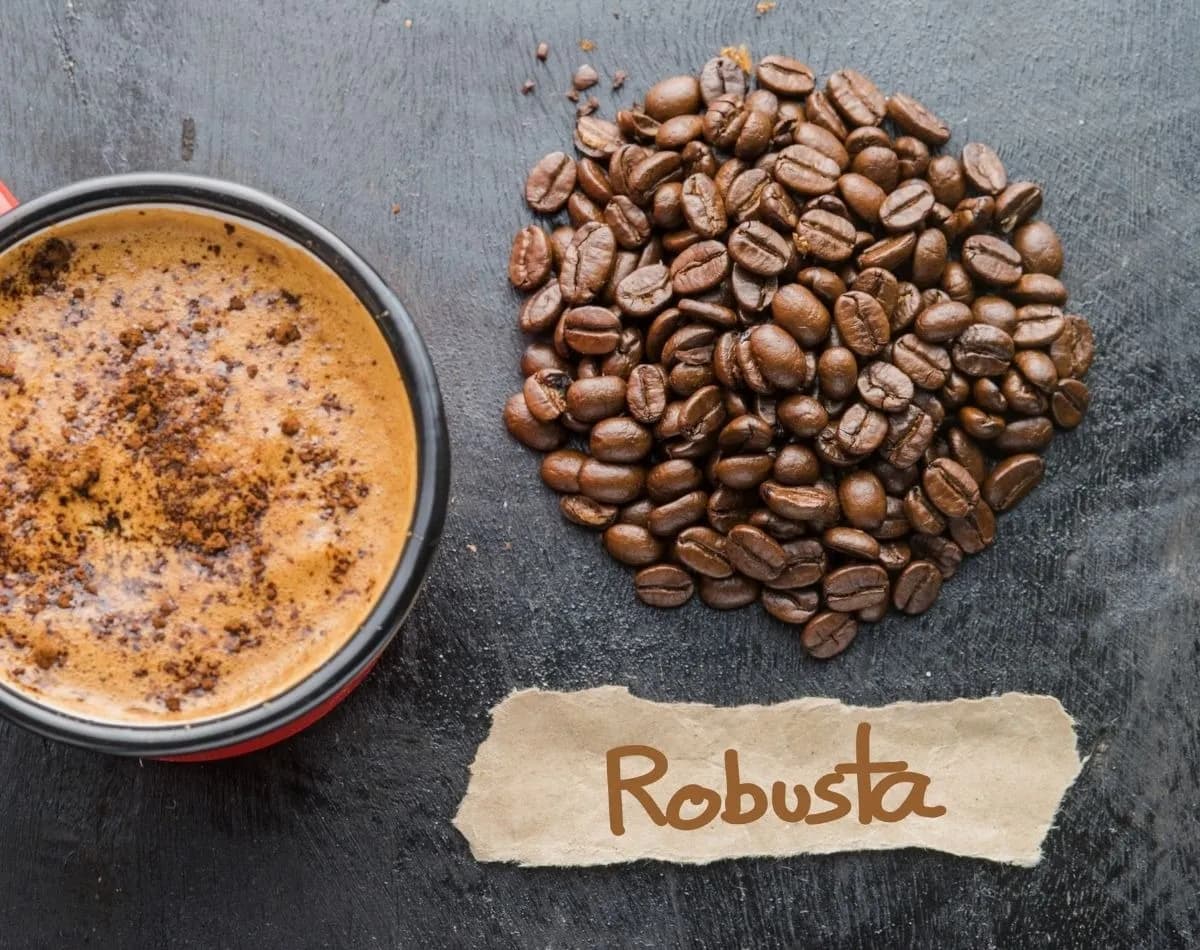 Robusta Coffee - The Power of Vietnamese Coffee Beans