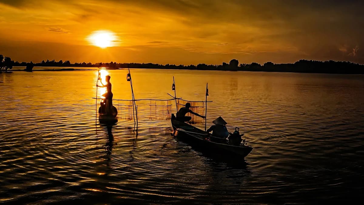 Lang Sen Wetland 예약