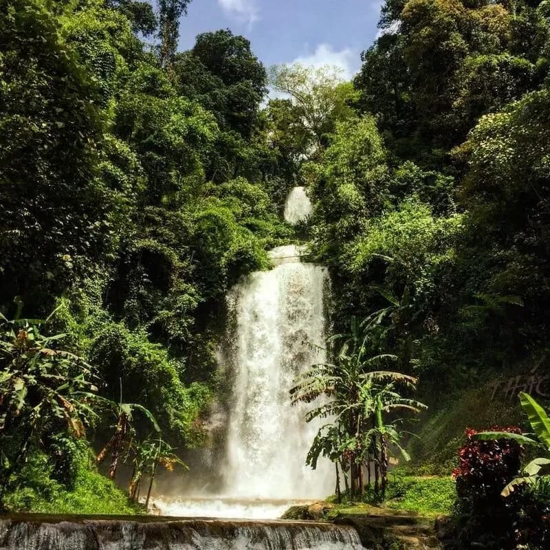 Tam Tham Waterfall 에 LangBiang 산 에 Da Lat