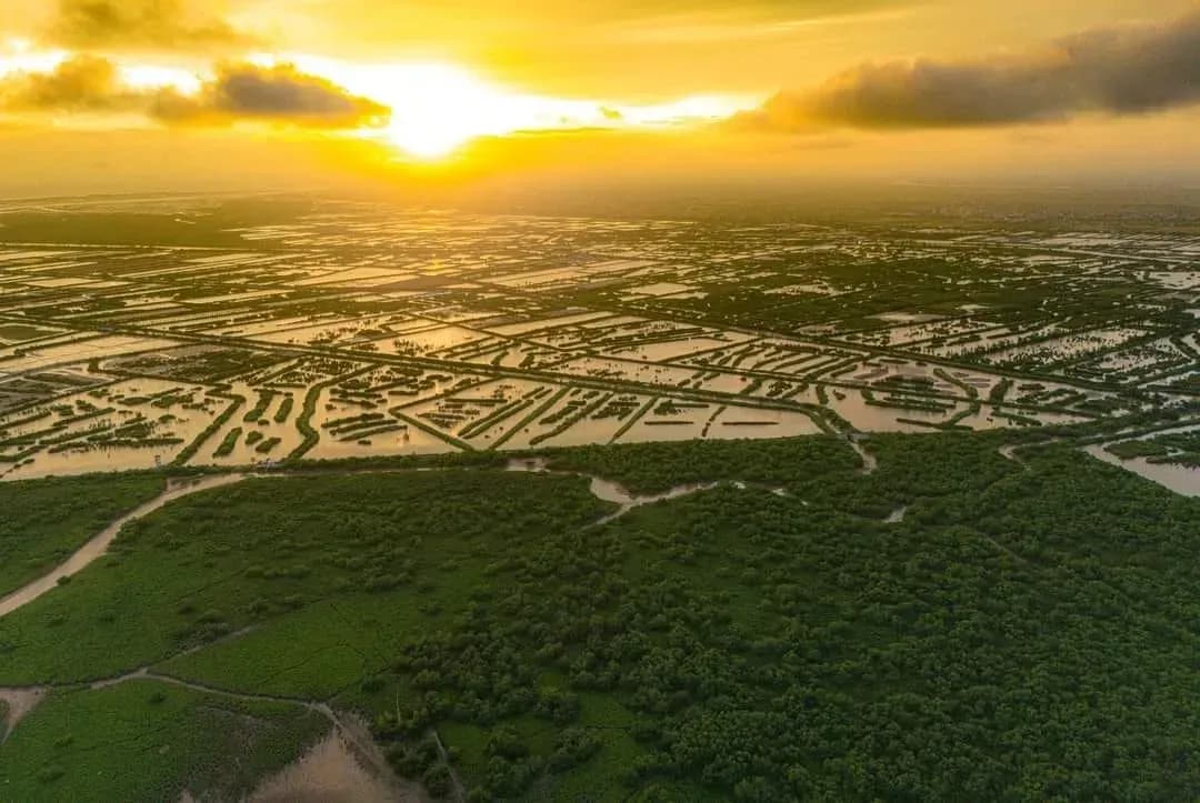 Xuan Thuy National Park Wetland Reserve