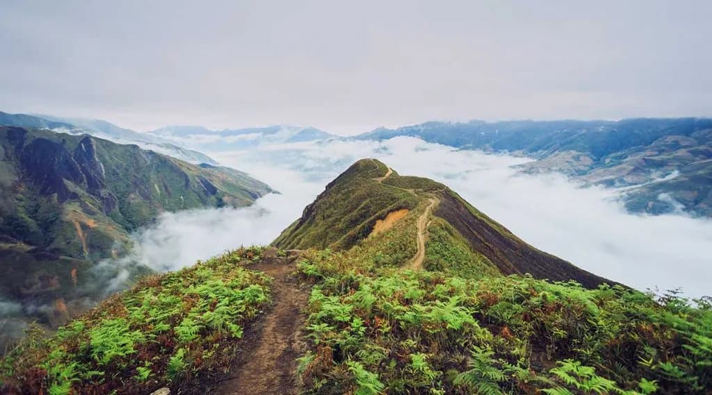 Ta Xua 피크를 정복하는 Trekking 12 km