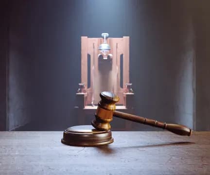 Người nước ngoài phạm tội ở Việt Nam có bị tử hình không?