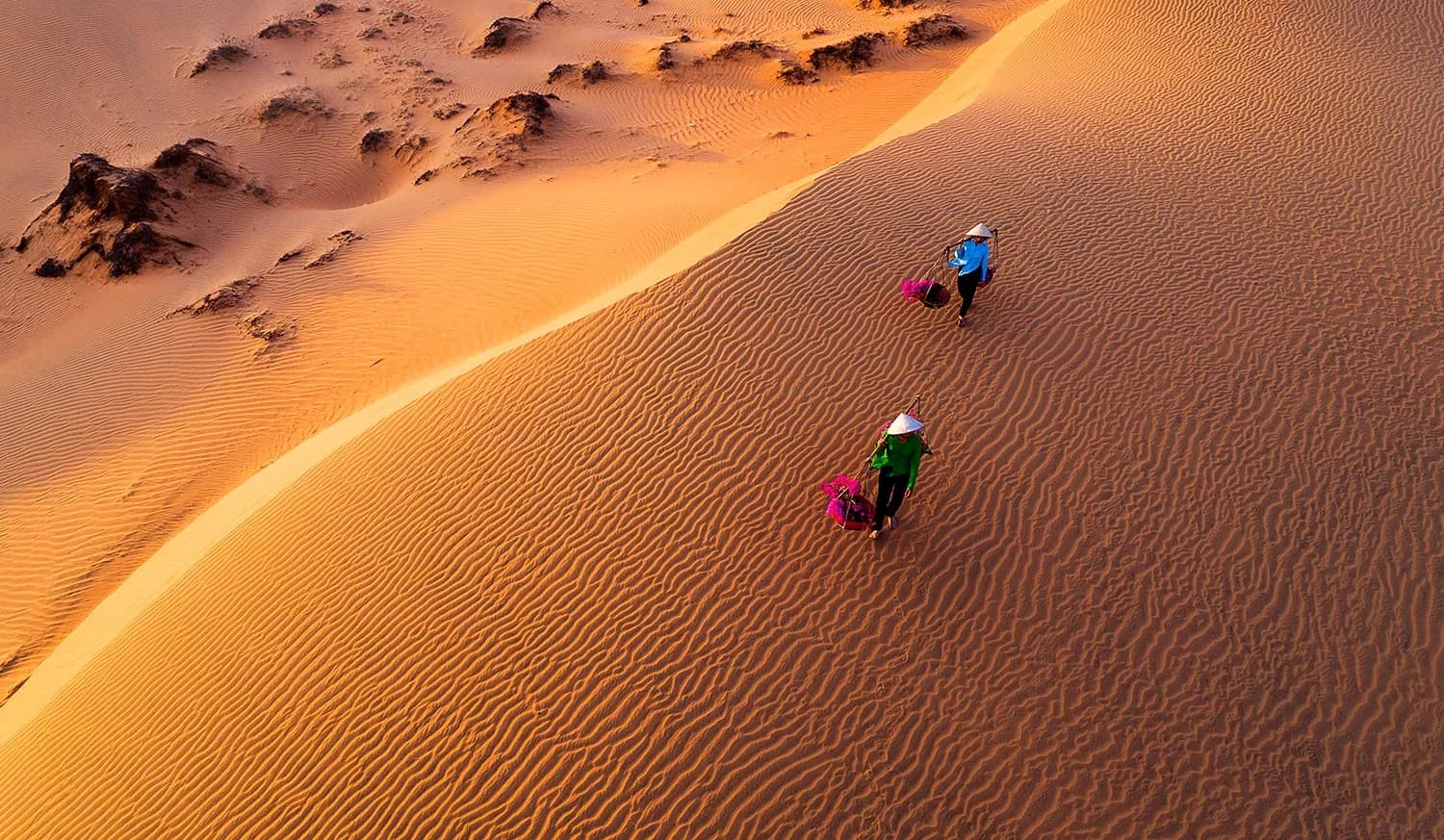 Luong Son Sand Dunes - Binh Thuan 해안의 사막 섬