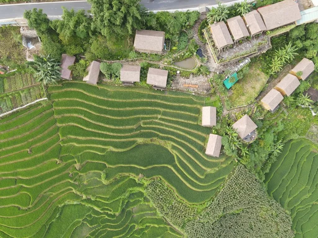 Eco Palms House - Sapa Retreat