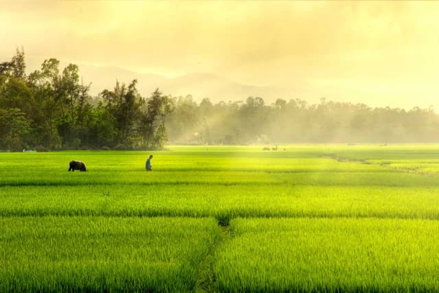 Ảnh nhà cung cấp