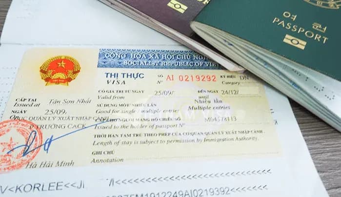 Issuance of electronic visas upon request of foreigners 2