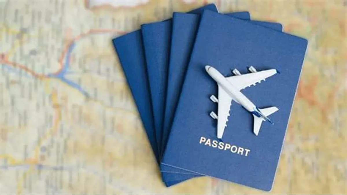 Issuance of electronic visas upon request of foreigners 3