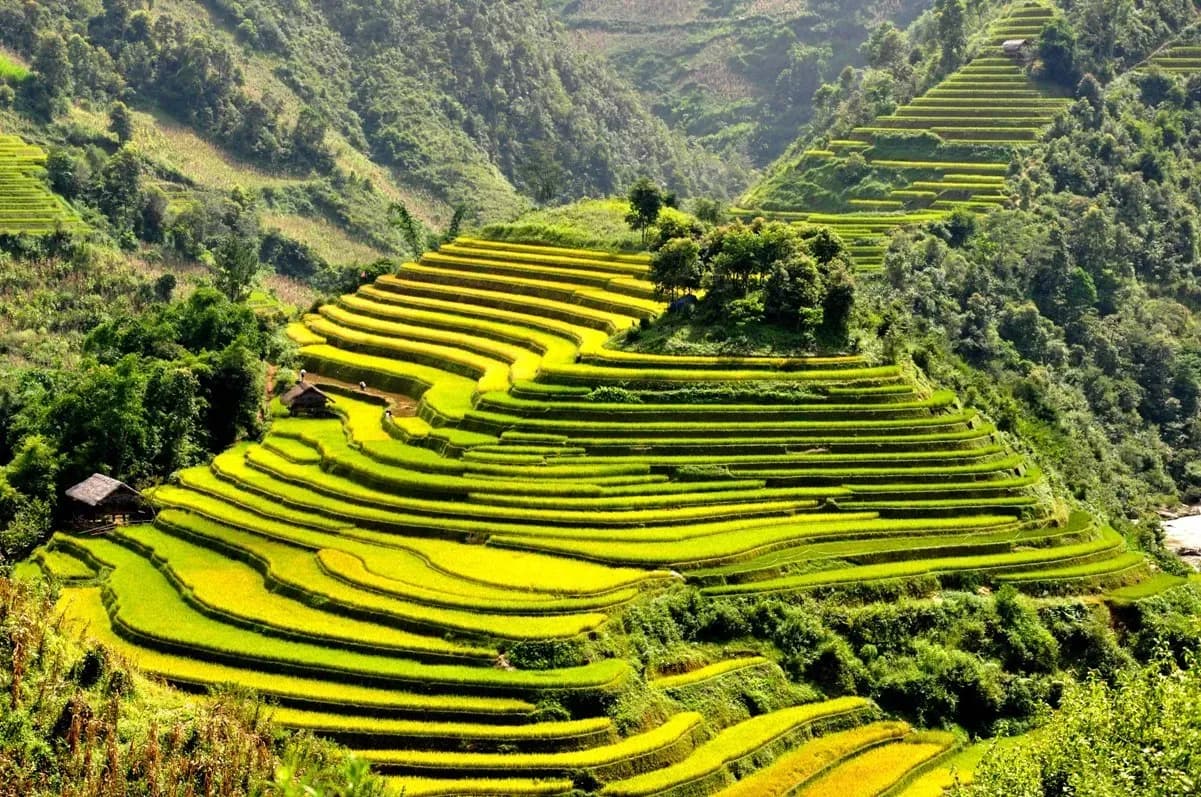 Tu Le 테라스 필드, 엔 바이