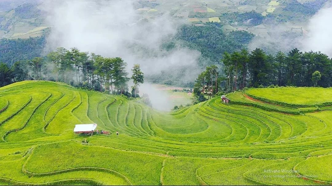 Mu Cang Chai 여행 가이드