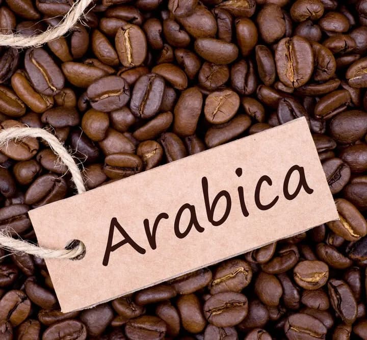 Arabica coffee beans stand out against a backdrop, showcasing quality.