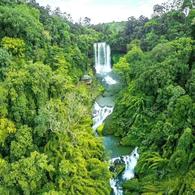 Dambri waterfall nestled amid lush jungle greens, creating a majestic landscape.
