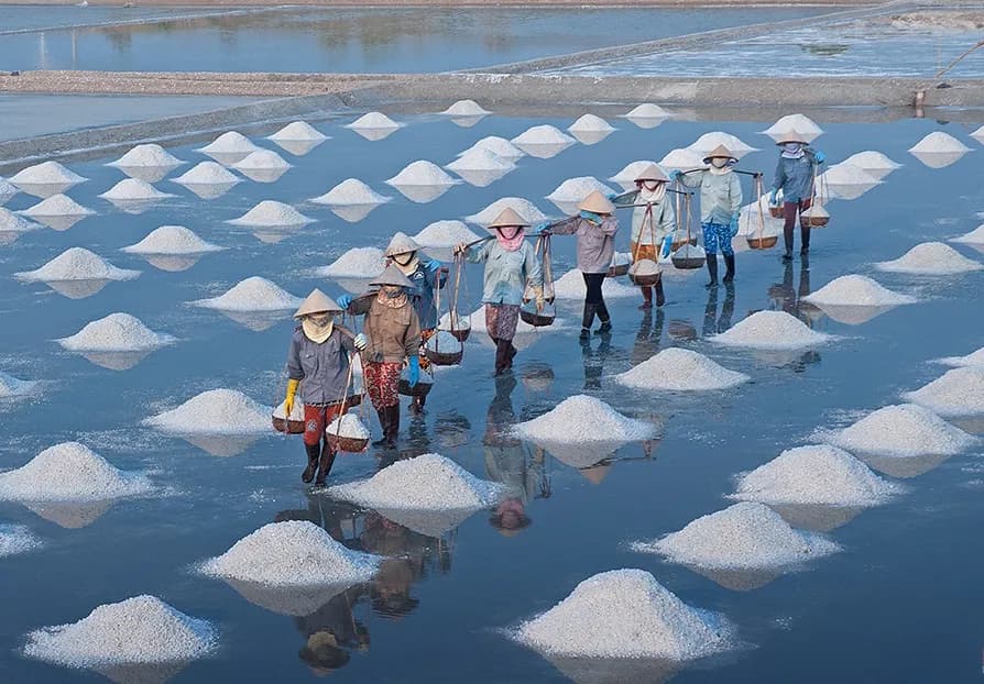 den-canh-dong-muoi-bach-long-va-hoa-than-thanh-diem-dan-thu-thiet_canh-dong-muoi-dam-vua-17.jpg