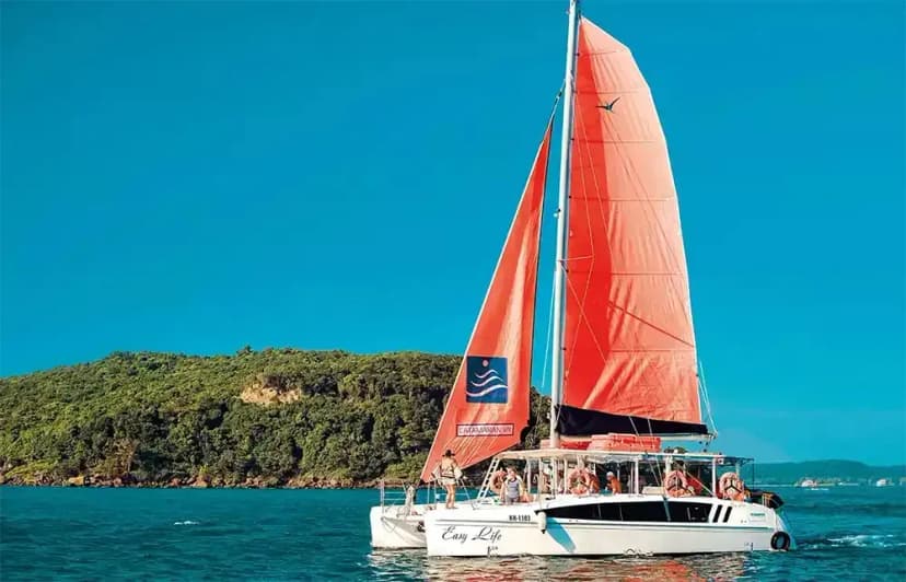 Sailboat with orange sail on the blue sea, near a lush green island.