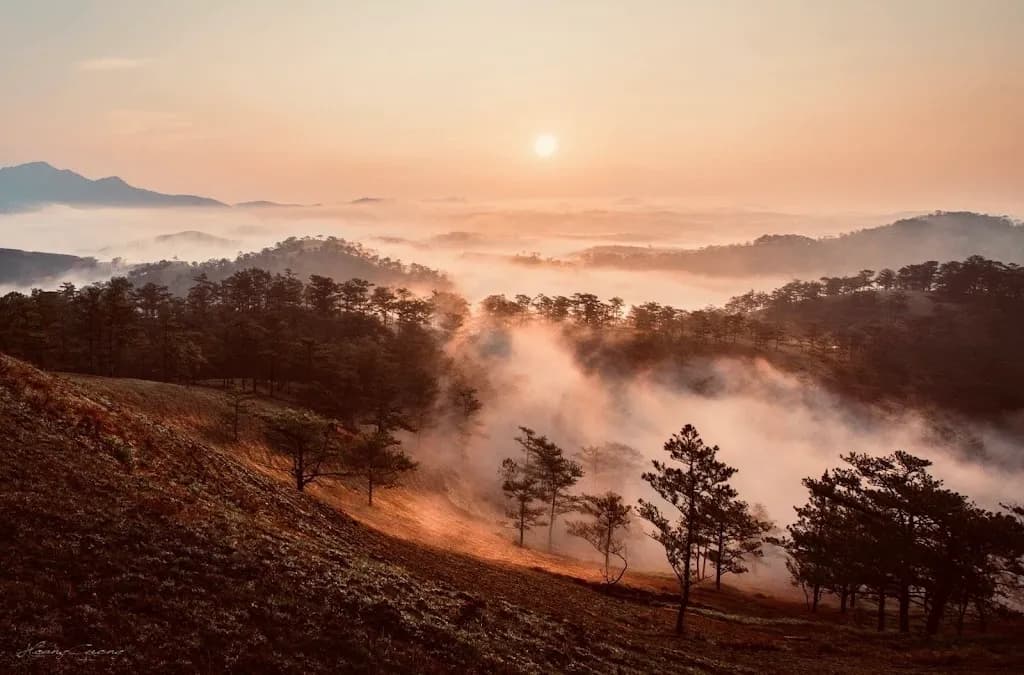 Golden Valley