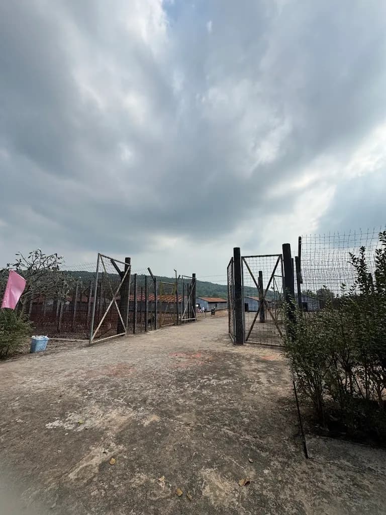 Phu Quoc Prison History Museum