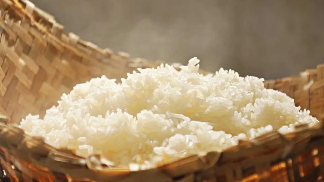 나의 Lung 로스터 끈끈한 밥: 푸둥에 있는 무용 사람들의 Culinary 특성